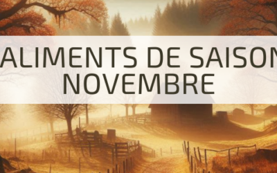 Savourez l’Automne : Aliments de Saison en Novembre
